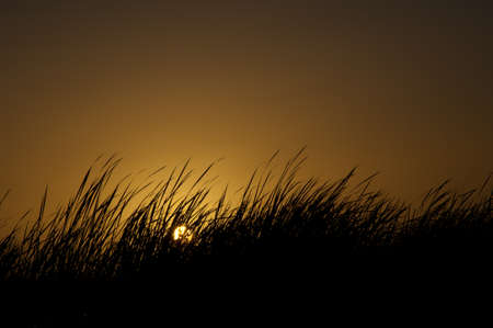 Sunset in the Oiseaux du Djoudj National Park. Saint-Louis. Senegal.の写真素材