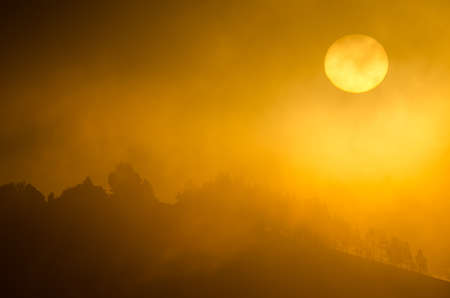 Dawn in the fog in the inland of Gran Canaria. Canary Islands. Spain.の写真素材