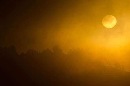 Dawn in the fog in the inland of Gran Canaria. Canary Islands. Spain.の写真素材