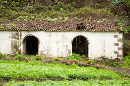 Teror, December 15, 2020: Abandoned house in the village of Valsendero. Gran Canaria. Canary Islands. Spain.のeditorial素材