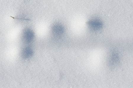 Surface of the ground covered with snow. Kushiro. Hokkaido. Japan.