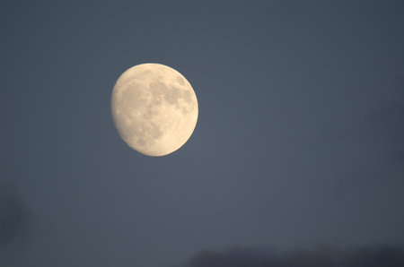 Waxing gibbous moon at sunset over Kiyosato. Hokkaido. Japan.