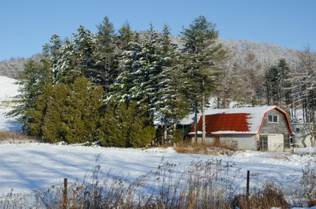 Northeast of Hokkaido, December 5, 2017: Rural landscape covered with snow. Japan.のeditorial素材
