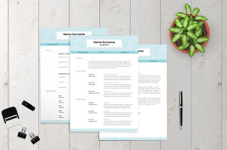 The perfect and exact CV to attract the interviewer the mostのイラスト素材