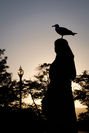 A seagull stands on the head of a woman sculpture in Montjuic, Barcelonaの写真素材