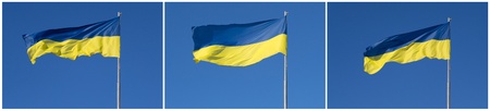 a set of images with Ukrainian flag hovering under sunny blue skyの写真素材
