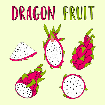 Whole and sliced Dragon Fruit isolated on light background. Hand drawn vector illustration.のイラスト素材