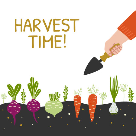Harvest Time bright banner. Man is harvesting in a field . Modern hand drawn design template. Vector illustration.のイラスト素材