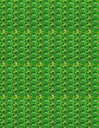 floral design