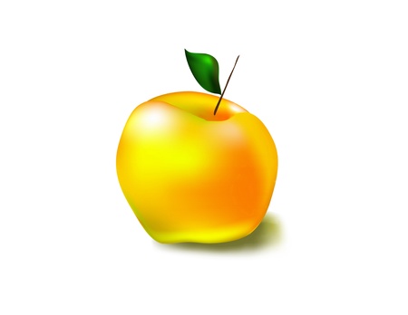 beautiful yellow apple with a shadow on a white backgroundのイラスト素材