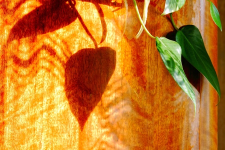  Beautiful backgrounds and shadows for different patternsの写真素材