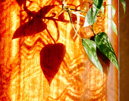  Beautiful backgrounds and shadows for different patternsの写真素材