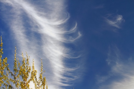 clouds on a beautiful sky, summer sky landscape, nature  の写真素材