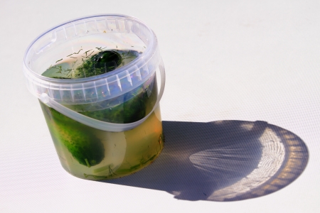 Beautiful, delicious cucumber in brine on a light backgroundの写真素材