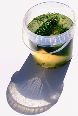 Beautiful, delicious cucumber in brine on a light backgroundの写真素材