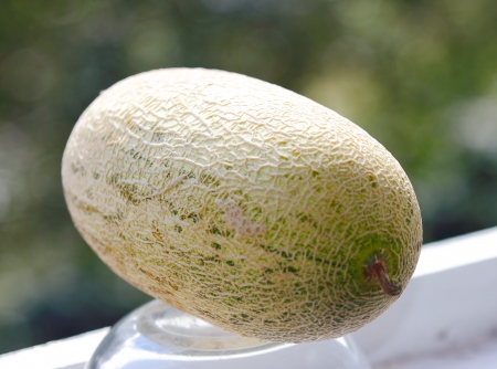 Beautiful, tasty melon on a light backgroundの写真素材