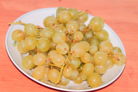  Grapes on the tableの写真素材