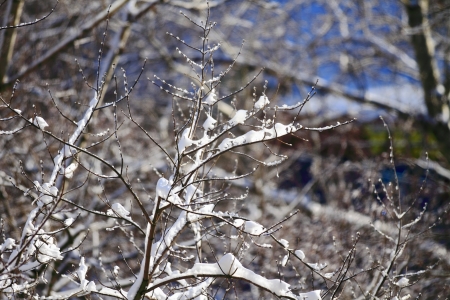 snowy landscape, winter in Russiaの写真素材