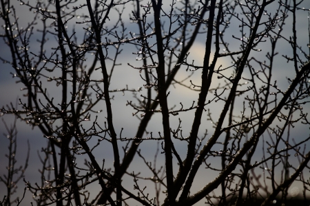 snowy landscape, winter in Russiaの写真素材