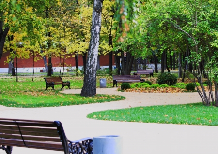 Autumn in the Park の写真素材