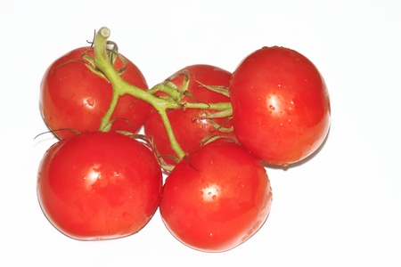 tomatoesの写真素材