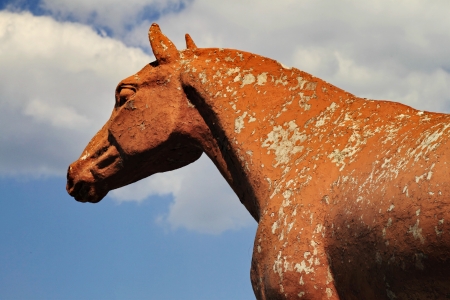 statue of a horseの写真素材