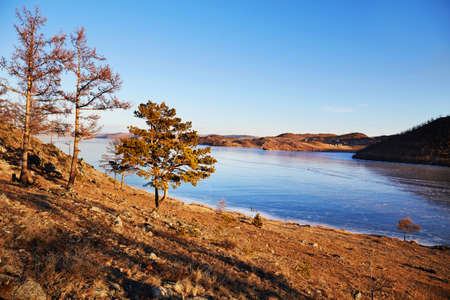 Lake Baikal in December. View of the frozen Kurkut Bay in the rays of the setting sun. Larch on the shore is reflected in the frozen surface of the lake.の写真素材