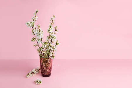 A bouquet of flowering plum branches on pink background. Copy space.