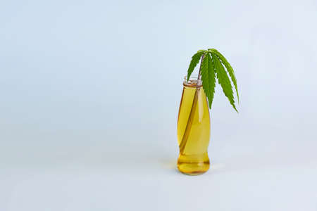 Bottle of cannabis tea with green marijuana leaves on blue background. Medical cannabis, natural...