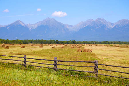 Haystacks with straw in an agricultural field. Picturesque rural landscape, mountains, blue sky.の写真素材