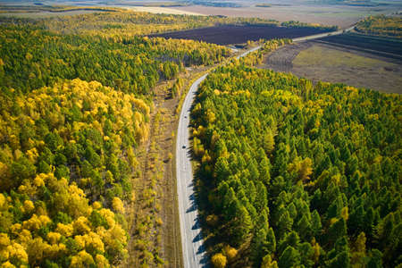 A beautiful road through the autumn forest from the air on a sunny autumn day. Agricultural fields in the distance.の写真素材