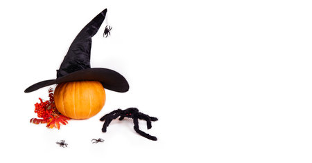 Halloween holiday. Pumpkin, witch hat, spider