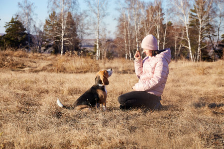 A girl on a walk trains her dog beagle. autumn landscape. Friendship between the owner and the petの写真素材