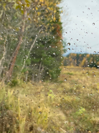 Raindrops on the glass. View through the window of the autumn landscape. Blurred background.