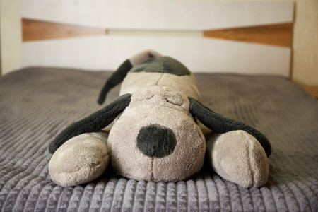 A stuffed dog toy on the bed on a gray bedspread.の写真素材