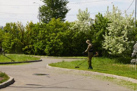 Gardener trimming grass near blooming trees in a urban park during a sunny day.の写真素材