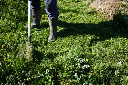 Grass trimming activity in a backyard during sunny afternoonの写真素材