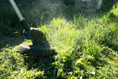 A lawn trimmer is cutting grass in a backyard on a sunny afternoon. Sunlight creates a vibrant scene...