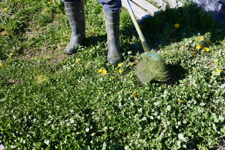 Grass trimming activity in a backyard during sunny afternoon.の写真素材