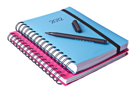 Blue Diary for 2012 on a light background