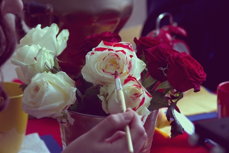 Woman paints white roses red paintの写真素材