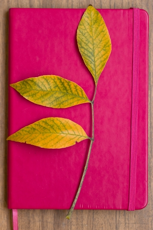 Autumn yellow leaves on a notepadの写真素材