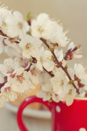 Beautiful spring flowers in a red mug.の写真素材