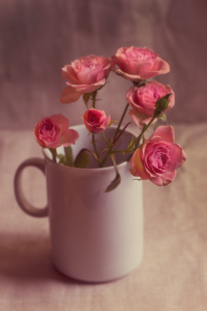 Branch of small vintage red rosesの写真素材