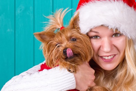 Beautiful girl in santa cap with yorkie dog in red sweaterの写真素材