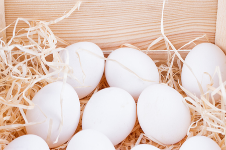 A lot of white chicken eggs in a bunchの写真素材