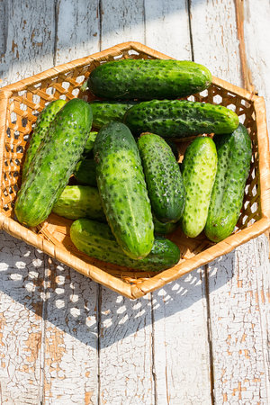 Cucumber basket on the white wooden backgroundの写真素材