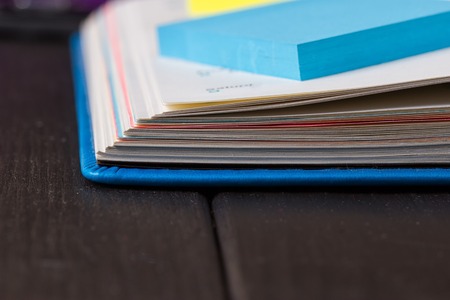 Planning your day, A day blank day planner with a blue penの写真素材