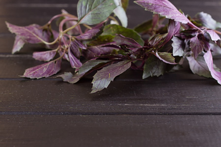 Bunch of basil on a black wooden backgroundの写真素材