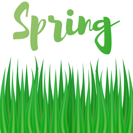 Spring Nature Background With Grass Border With Gradient Mesh, Vector Illustrationのイラスト素材